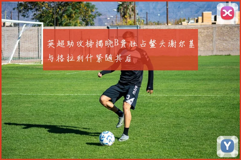英超助攻榜揭晓B费独占鳌头谢尔基与格拉利什紧随其后